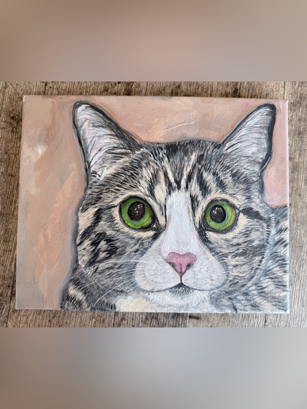 RIKKISRATPACK CAT PET PORTRAIT